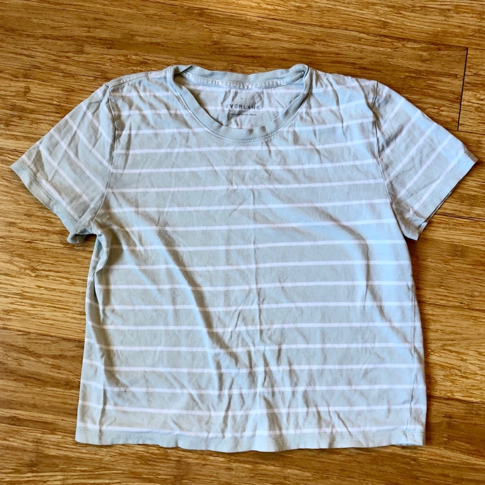Everlane / Cotton Box-Cut Tee in light sage/white